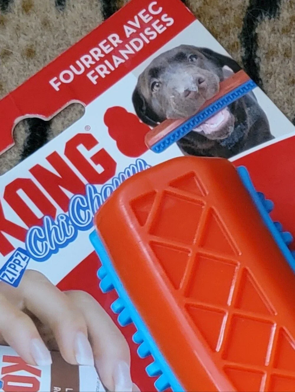 Kong interactive toss chew